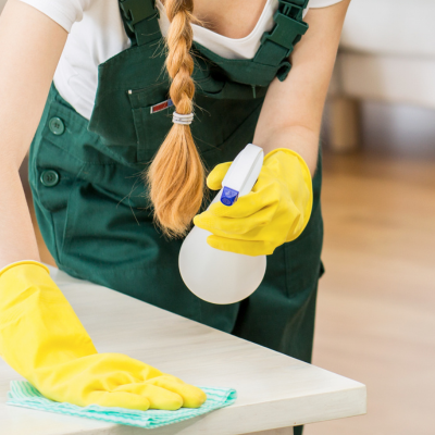 Domestic Cleaning